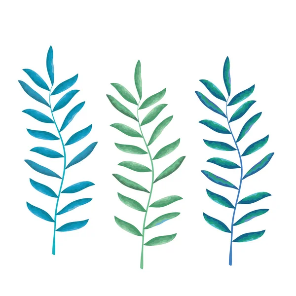 Pflanzen-Symbole setzen — Stockvektor