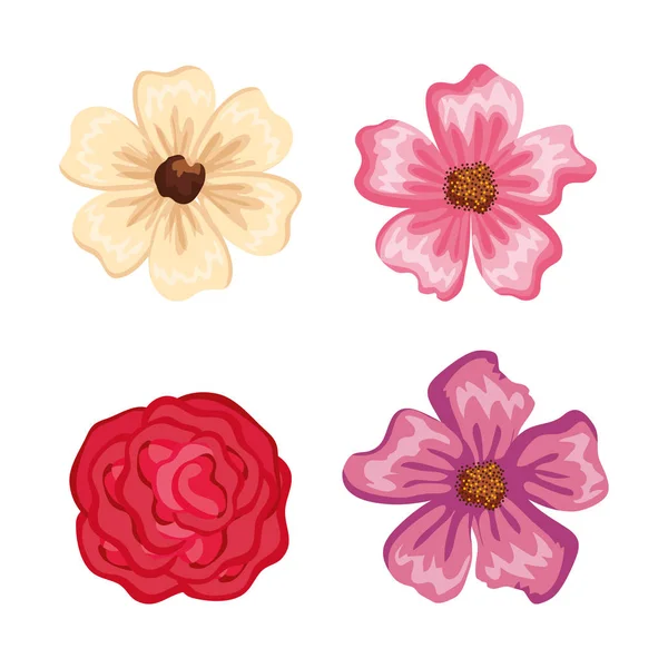 Set beautiful flowers icons — Stock Vector