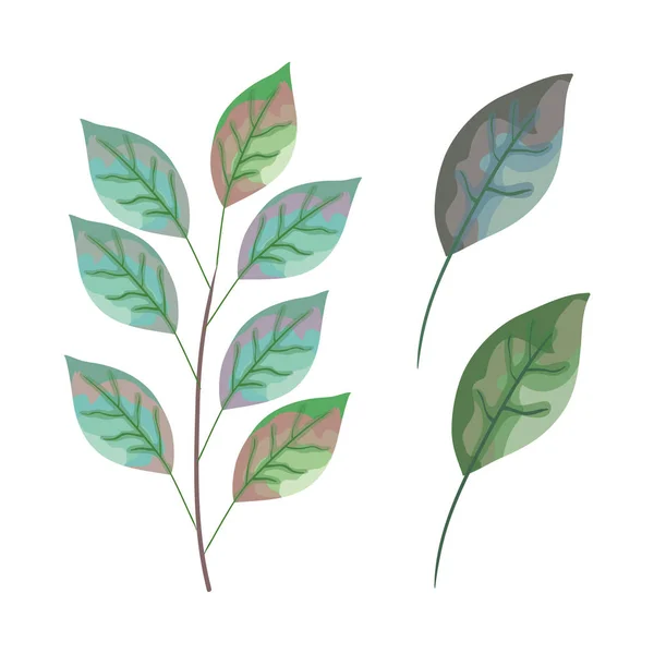 Set feuilles plantes icônes — Image vectorielle
