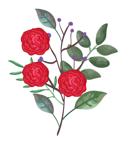 Hermosa decoración de rosas y hojas — Archivo Imágenes Vectoriales