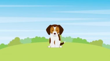 parkta oturan sevimli beagle köpek