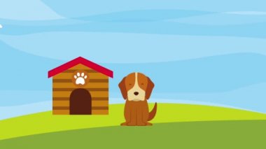 mutlu köpek alan ahşap ev ve plaka gıda