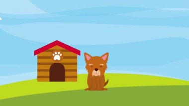 küçük köpek maskot aşk ahşap ev ve gıda