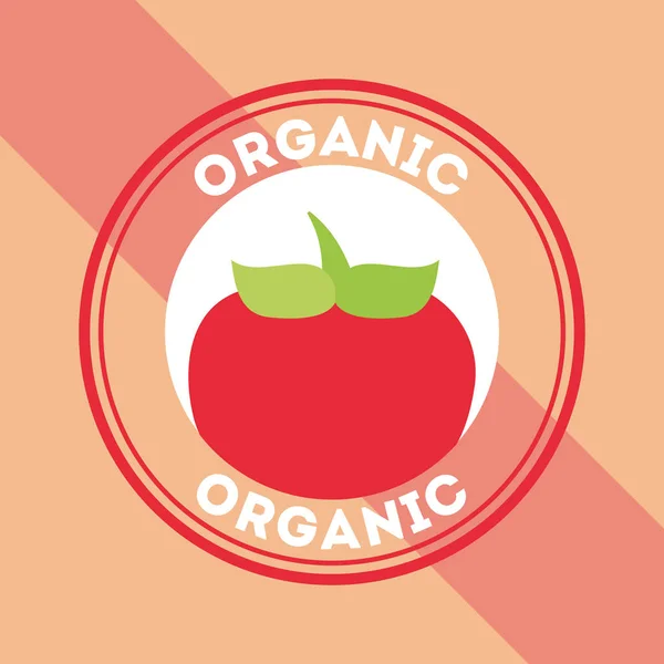 Овочі органічні природні — стоковий вектор