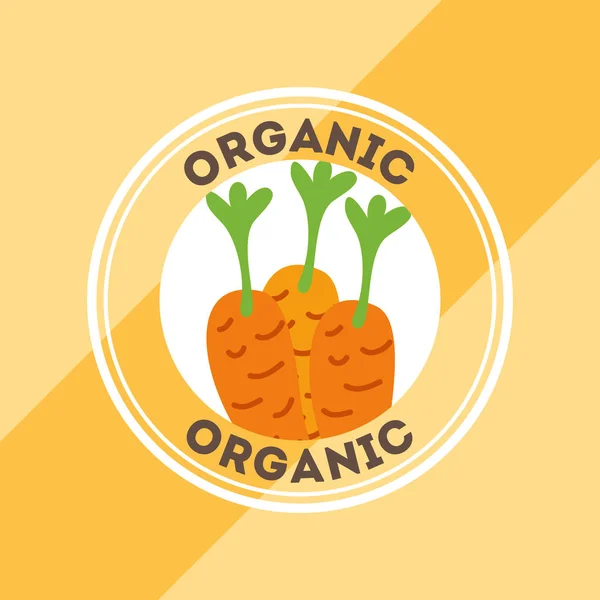 Warzywa organiczne naturalne — Wektor stockowy