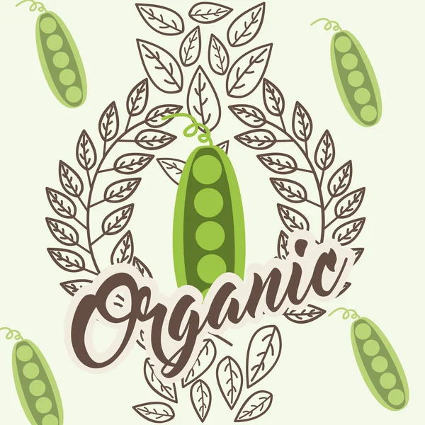 Vegetables organic natural — Stock Vector