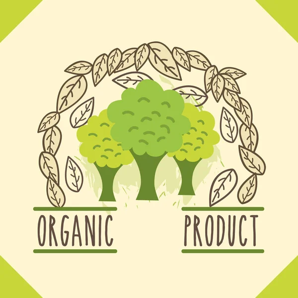 Vegetables organic natural — Stock Vector