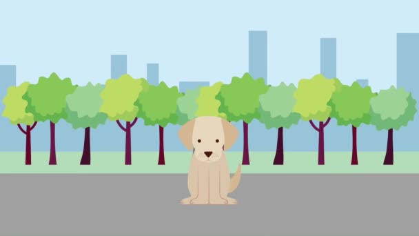 Mascotte de chien mignon dans le parc parler bulle — Video