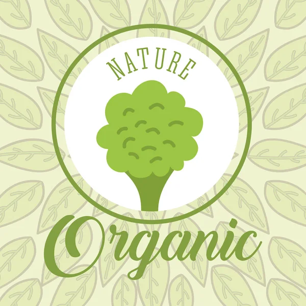 Food organic nature — Stock Vector