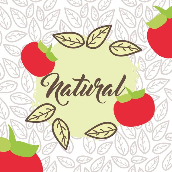 Organické přírodní potraviny — Stockový vektor