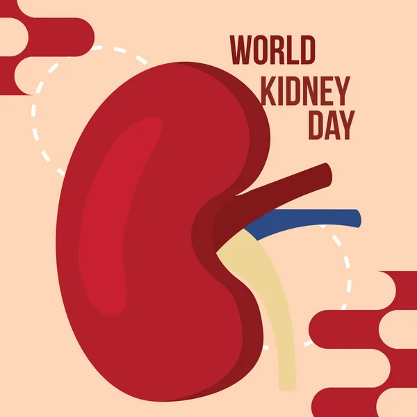 Всемирный день почек — стоковый вектор