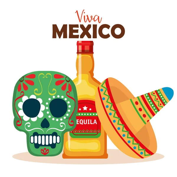 Day of the dead mask with tequila bottle — Stock Vector