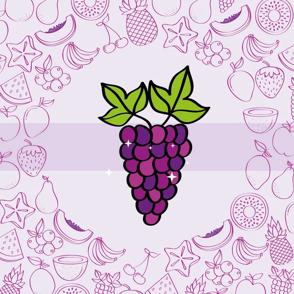 Grape fruits nutrition background pattern drawing color — Stock Vector