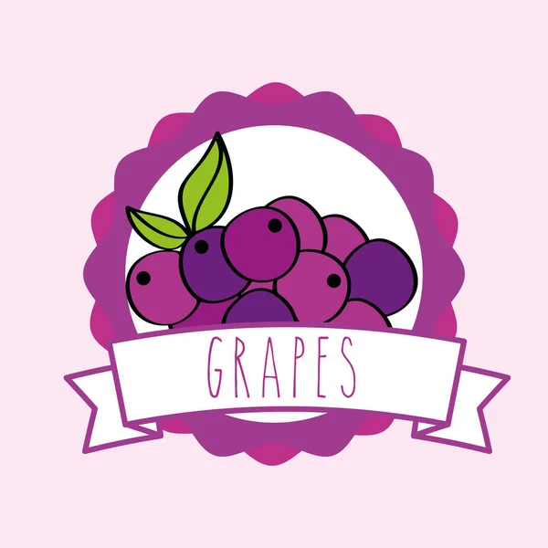 Verse druiven natuurlijke vruchten organische embleem ontwerp — Stockvector