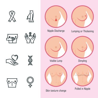 Görünüşe memenin türleri