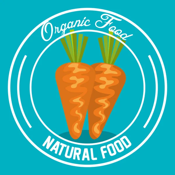 Frische Karotten Vegetarischer Ernährungsvektor Illustration Design — Stockvektor