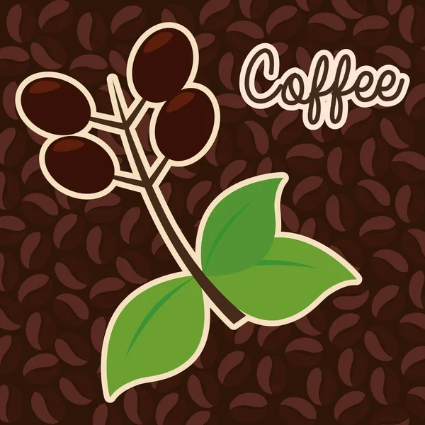 Delicious coffee plant poster — Stock Vector