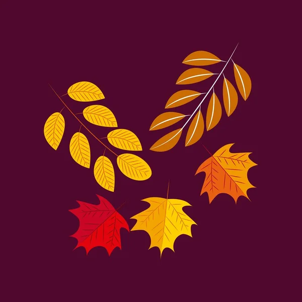 Blätter Farben Weizen Dekoration Farbe Hintergrund Vektor Illustration — Stockvektor