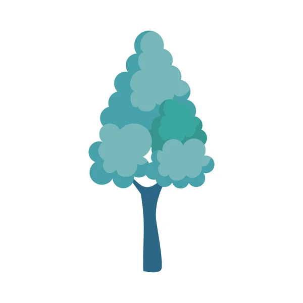 Fenyőfa növény izolált ikon — Stock Vector