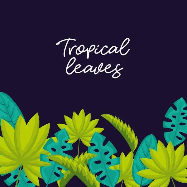 热带自然叶子花植物向量例证 — 图库矢量图片