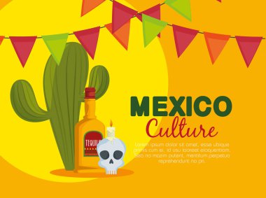 kaktüs kafatası ve geleneksel olay tekila ile