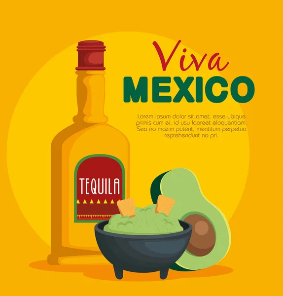 Avocado saus met tequila traditionele Mexicaanse gerechten — Stockvector