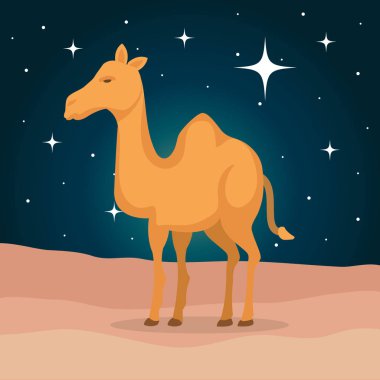 sevimli deve çöl hayvan