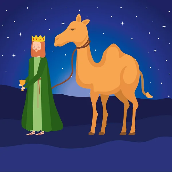 Wise king with camel manger characters — Stock Vector