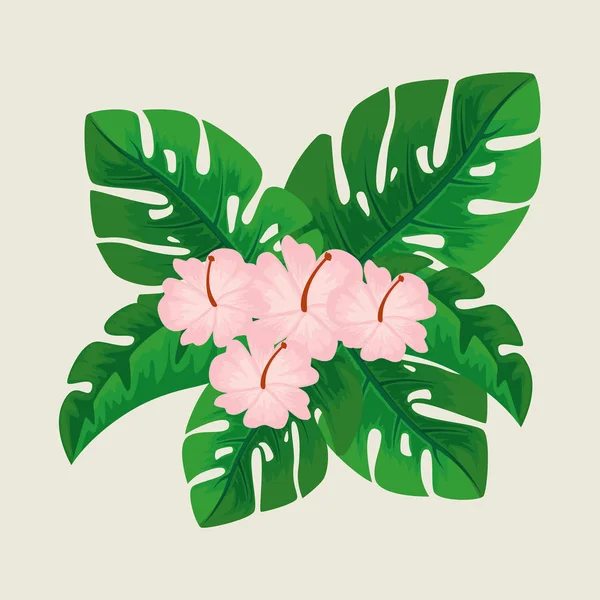かわいい花の花びらと自然の葉 — ストックベクタ