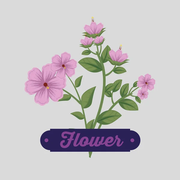 Şirin çiçekler bitkiler yaprakları ve amblemi ile — Stok Vektör