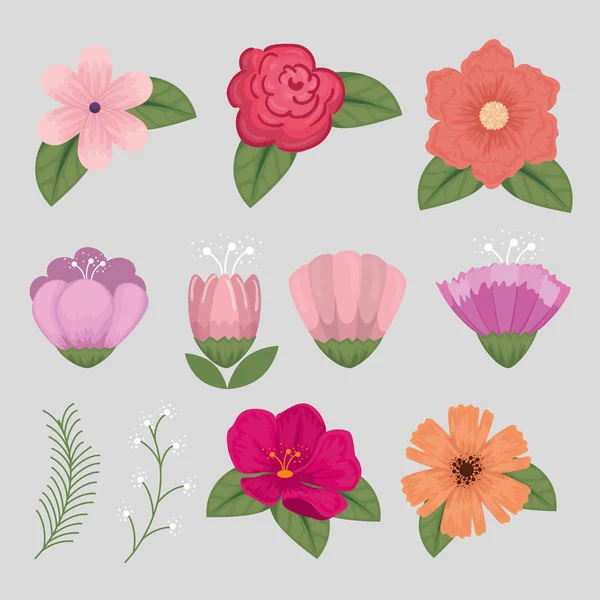 Ställa in blommor stil med naturliga kronblad och blad — Stock vektor
