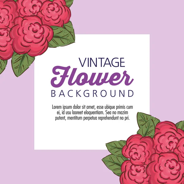 Mensagem entre rosas plantas com pétalas e folhas —  Vetores de Stock