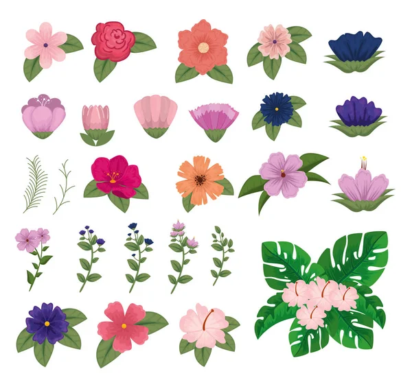 Instellen van exotische bloemen met natuurlijke bladeren en bloemblaadjes — Stockvector