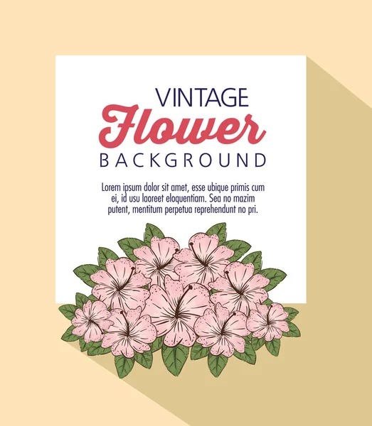 Belas flores plantas com folhas e mensagem — Vetor de Stock