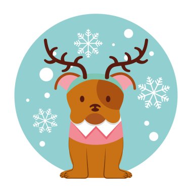 köpek neşeli Noel kartı