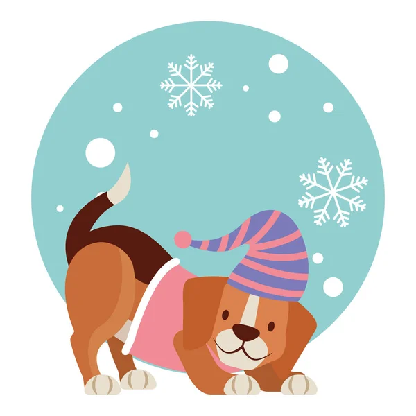 Dog merry christmas card — Stock Vector