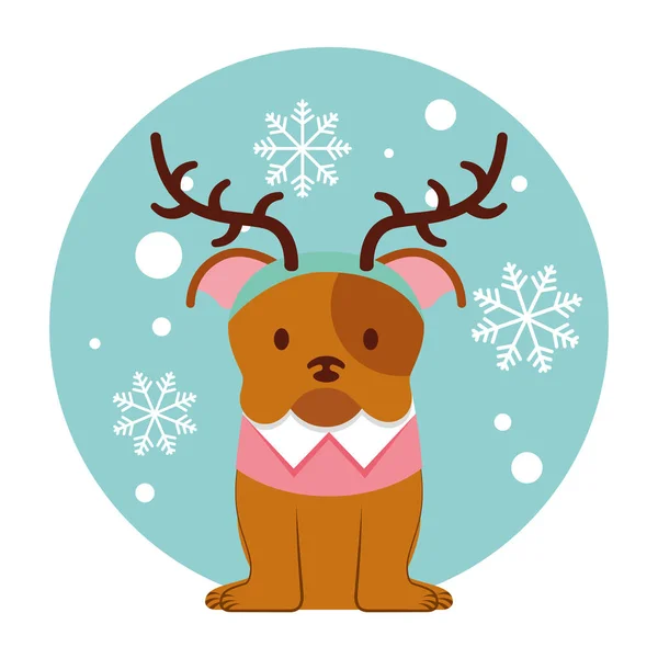 Dog merry christmas card — Stock Vector
