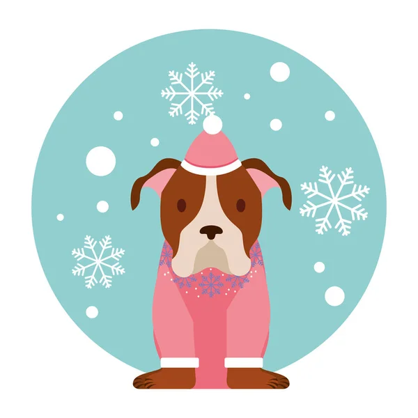 Σκύλος Νιφάδα Χιονιού Ρούχα Χειμώνα Χριστούγεννα Εικονογράφηση Διάνυσμα — Διανυσματικό Αρχείο
