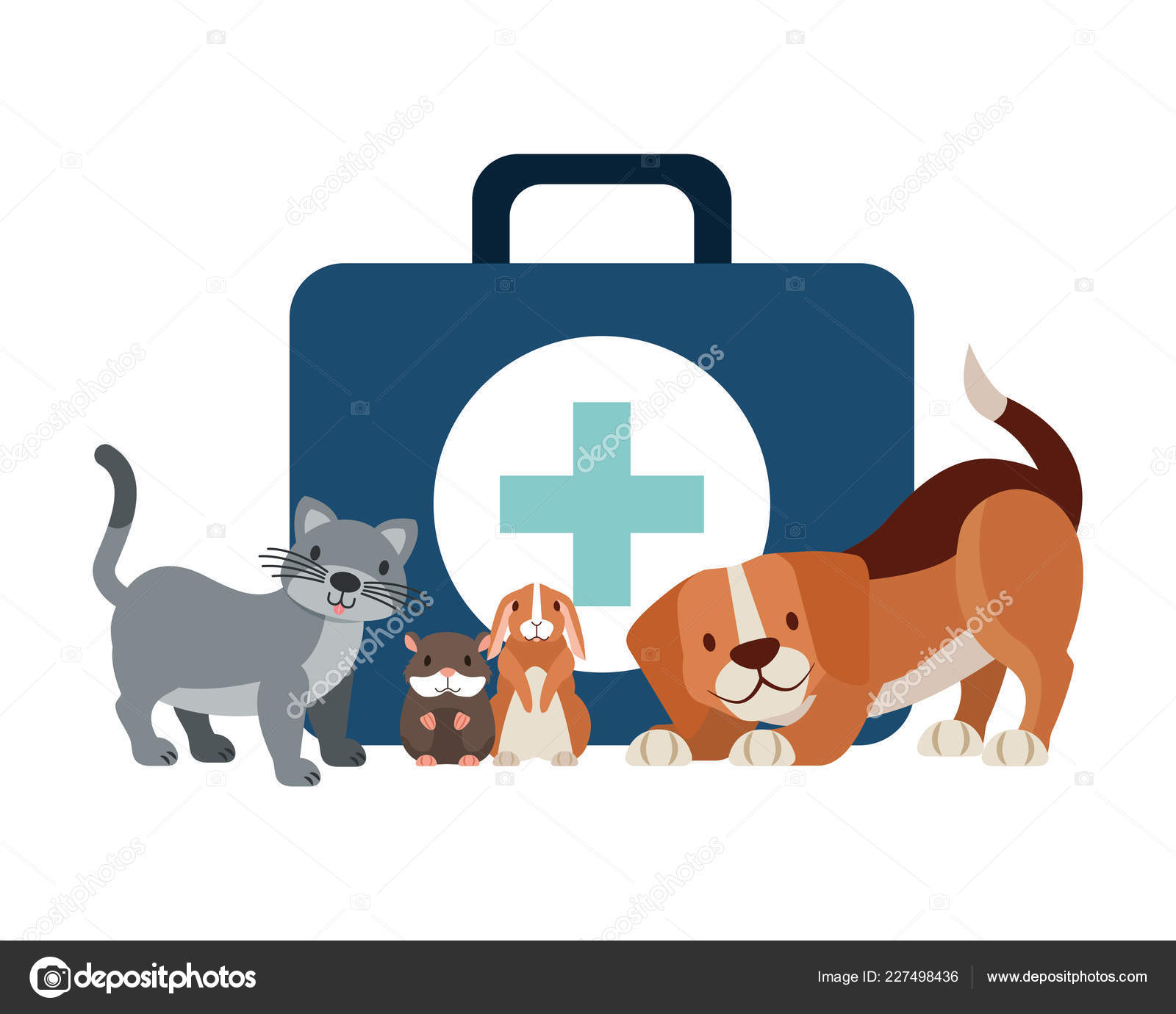 free pet first aid kit