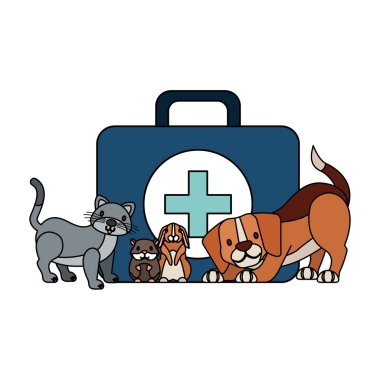 Kit ilk yardım köpek kedi tavşan hamster hayvan hastalıklarıyla ilgili klinik petcare vektör çizim