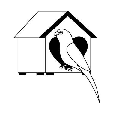 ahşap ev evde beslenen hayvan vektör çizim ile papağan