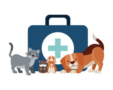 Kit ilk yardım köpek kedi tavşan hamster hayvan hastalıklarıyla ilgili klinik petcare vektör çizim