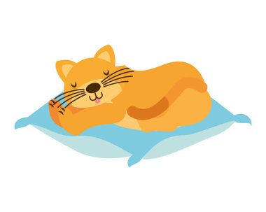 yerli kedi yastık vektör çizim üzerinde uyuyor