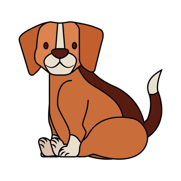 Beagle Dog Pet White Background Vector Illustration — Stock Vector