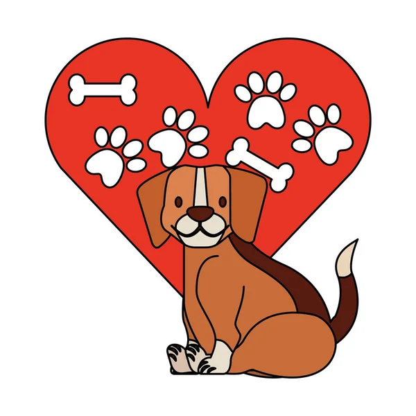 Beagle Perro Corazón Patas Bone Mascota Vector Ilustración — Archivo Imágenes Vectoriales