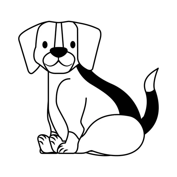 Chien Beagle Animal Compagnie Sur Fond Blanc Illustration Vectorielle — Image vectorielle