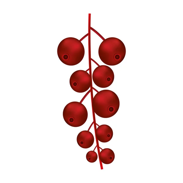 赤色ブランチ ベリー ハッピー クリスマス装飾ベクトル イラスト — ストックベクタ