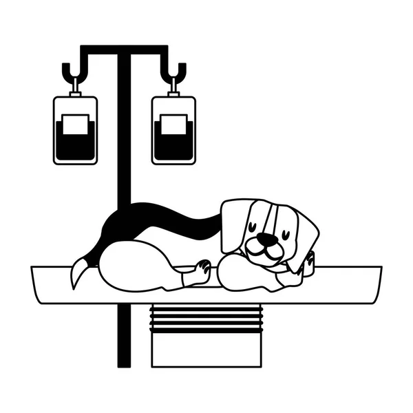 Cão Com Stand Medicina Veterinária Clínica Petcare Vetor Ilustração Ilustração —  Vetores de Stock