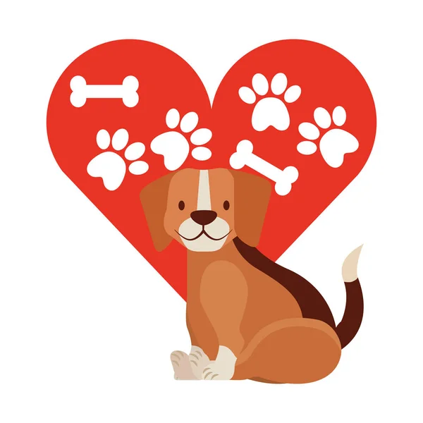 Beagle Perro Corazón Patas Bone Mascota Vector Ilustración — Archivo Imágenes Vectoriales