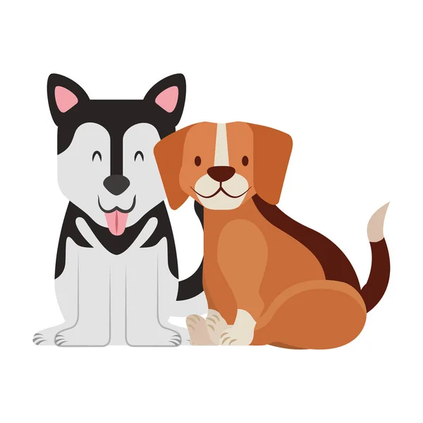 Illustration Vectorielle Animal Compagnie Beagle Chiens Sibériens — Image vectorielle